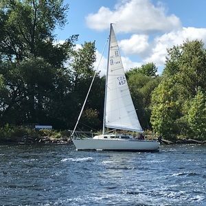 Meet your Posher, Sid